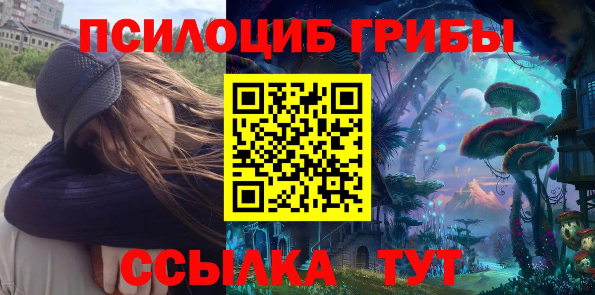 Псилоцибиновые грибы Magic Shrooms  Вход с VPN  закладка  Десногорск 